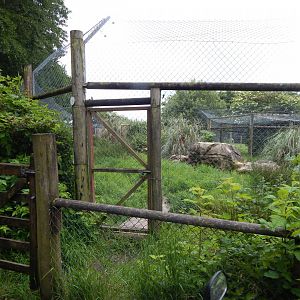 Serval enclosure 050625