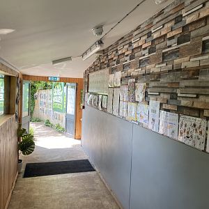 Entrance area 060625