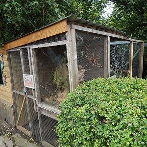 Enclosures for Eurasian harvest mouse and Swinhoe's striped squirrel 060625