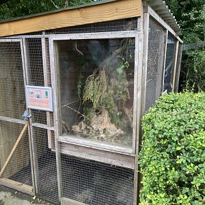 Eurasian harvest mouse enclosure 060625