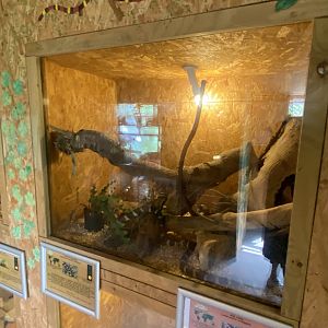 Warm Room - California kingsnake exhibit 060625