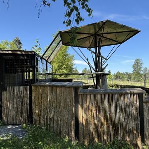 Red Panda Exhibit - side yard