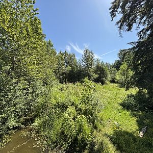 Grizzly Bear Exhibit