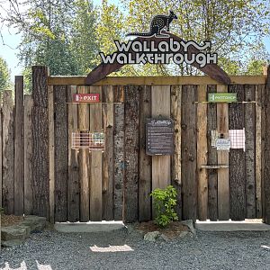 Wallaby Walkthrough