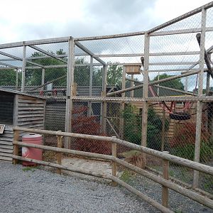 Red ruffed lemur enclosure 060625