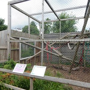 Red ruffed lemur enclosure 060625
