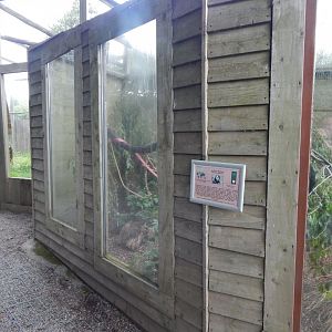 Geoffroy's marmoset enclosure 060625