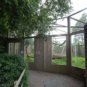 Ring-tailed lemur enclosure 060625