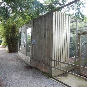 Fishing cat enclosure 060625