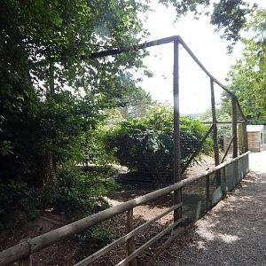 Large central aviary 060625