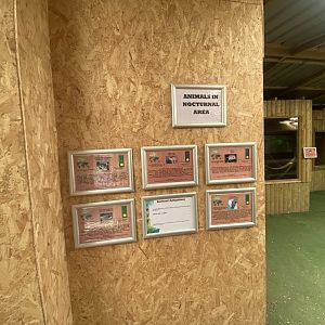 Education Station - signage for Nocturnal Area inhabitants 060625