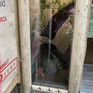 Education Station - Locust exhibit 060625