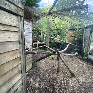 Scottish wildcat enclosure 060625