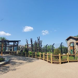 North America Trek Construction: Black Bear Habitat (June 2025)