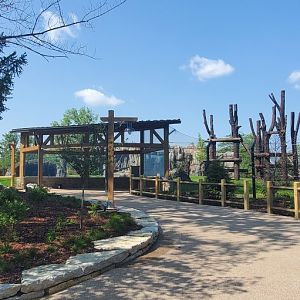 North America Trek Construction: Main Bear viewing (Early June 2025)