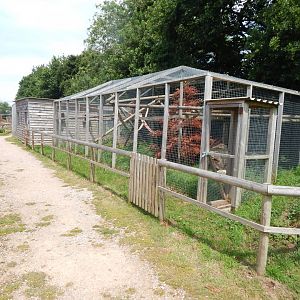 Binturong enclosure 060625