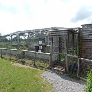 Caracal enclosure 060625