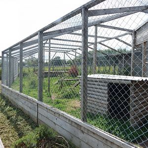 Caracal enclosure 060625