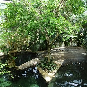 tomistoma enclosure, prof. brandes haus