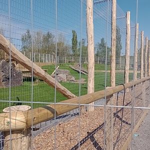 Project Carnivora construction