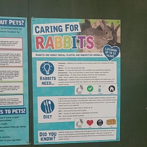 Caring for rabbits sign