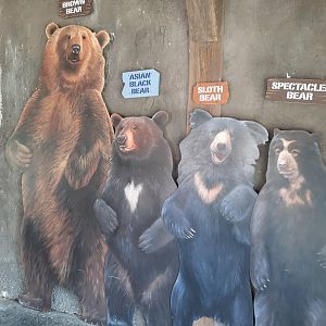 Bears of the World 1