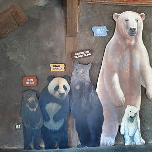 Bears of the World 2