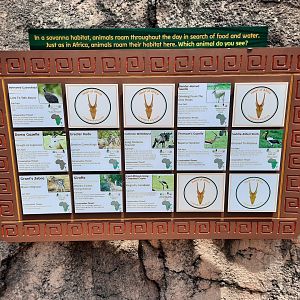 Savannah Exhibit Species List