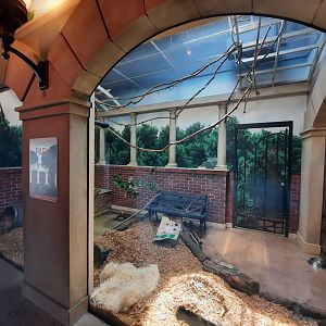 Striped Skunk Exhibit