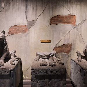 Tiger Extinction Statues