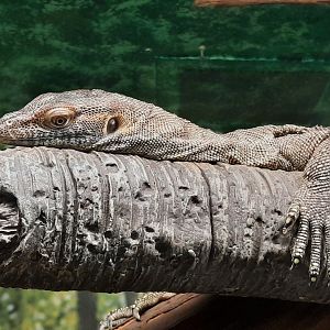 Merten Water Monitor