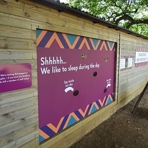 Porcupine House temp window