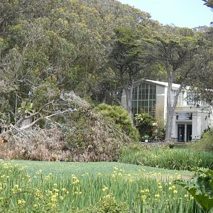 Rainforest and aviary across from the pond