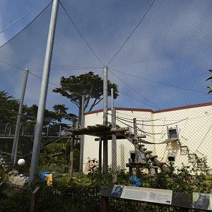 Chimpanzee outdoor enclosure