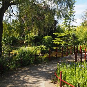 Chinese garden, 2024-06-30