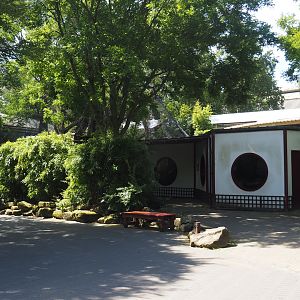François's langur exhibit and house, 2024-06-30