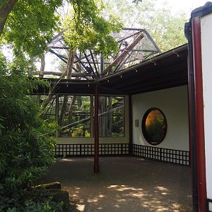 François's langur exhibit and house viewing areas, 2024-06-30