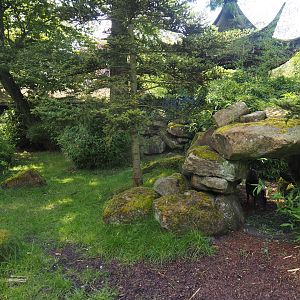 Michie's tufted deer exhibit, 2024-06-30