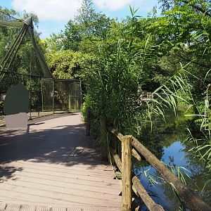 Boardwalk and crane aviary in the Asian swamp area, 2024-06-30