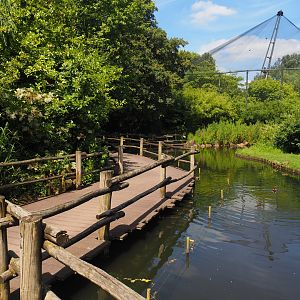 Boardwalk and Sulawesi crested macaque island in the Asian swamp area, 2024-06-30