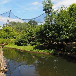 Boardwalk and Sulawesi crested macaque island in the Asian swamp area, 2024-06-30