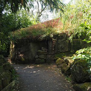 Sulawesi crested macaque house, 2024-06-30
