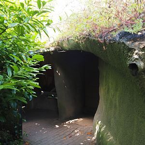 Sulawesi crested macaque house, 2024-06-30