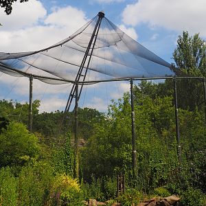Burung Asia aviary, now closed former walk-through aviary, 2024-06-30