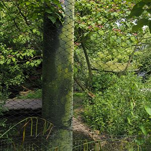 Burung Asia aviary, now closed former walk-through aviary, 2024-06-30