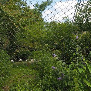 Burung Asia aviary, now closed former walk-through aviary, 2024-06-30