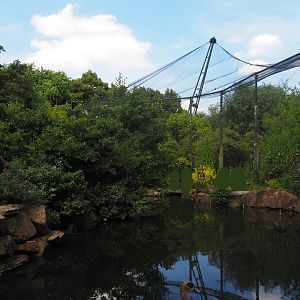 Sulawesi crested macaque island and Burung Asian aviary (Now closed former walk-through aviary), 2024-06-30