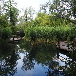 Walkways in the Asian swamp area, 2024-06-30