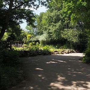 Domestic Bactrian camel steppe viewing area, 2024-06-30
