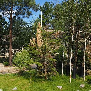 Red panda and Michie's tufted deer exhibit (Renovated historical mountain animal rock), 2024-06-30